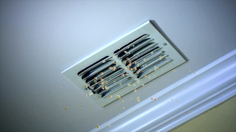 Best Commercial Air Duct Cleaning  in Spring Hill, TN