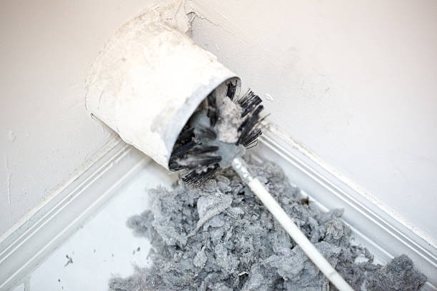 Air Duct Mold Removal in TN
